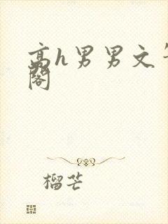 高h男男文笔趣阁封面