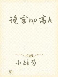 后宫np高h