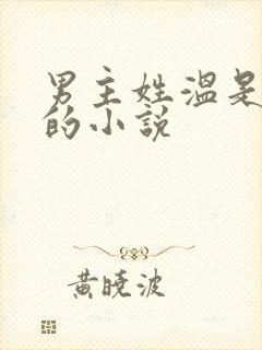 男主姓温是总裁的小说