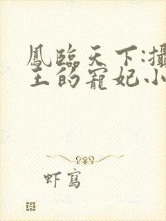 凤临天下:摄政王的宠妃小说小说