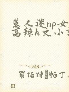 万人迷np女嬷高辣h文小说免费阅读