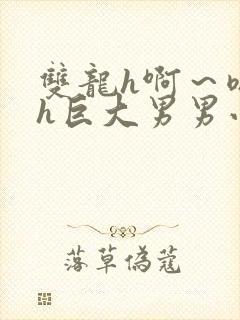 双龙h啊～嗯啊h巨大男男小说
