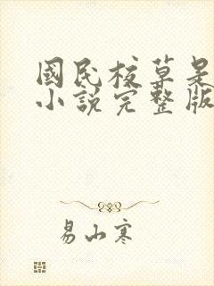 国民校草是女生小说完整版