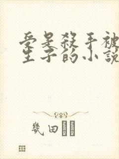 受是杀手被囚禁生子的小说产子小说