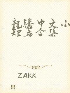 龙腾中文小说网短篇合集