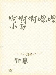 啊啊啊嗯嗯嗯h小说封面