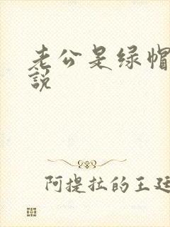 老公是绿帽奴小说封面