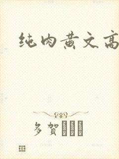纯肉黄文高h文