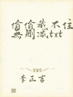 偷偷藏不住番外无删减txt封面