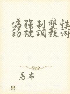 伪强制双性美人的被调教游戏