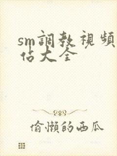 sm调教视频网站大全封面