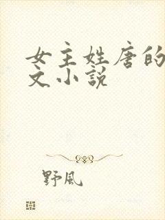 女主姓唐的总裁文小说封面