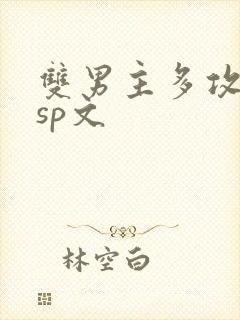 双男主多攻一受sp文