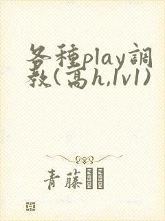 各种play调教(高h,1v1)