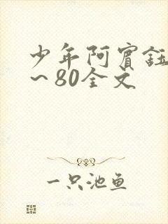 少年阿宾钰慧1～80全文