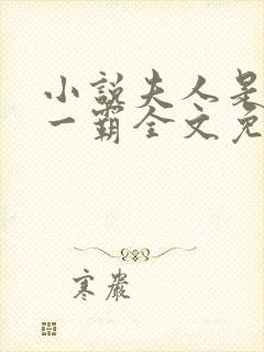 小说夫人是京城一霸全文免费阅读