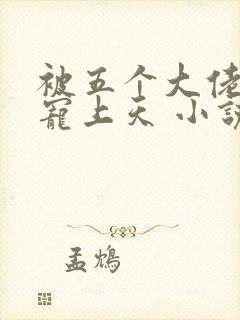 被五个大佬舅舅宠上天 小说