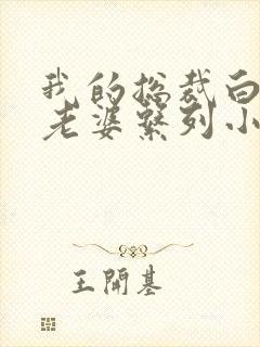 我的总裁白富美老婆系列小说