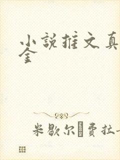 小说推文真假千金