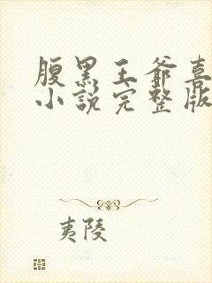 腹黑王爷喜当爹小说完整版大结局