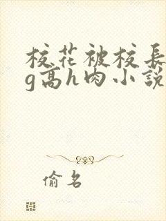 校花被校长抱着g高h肉小说封面