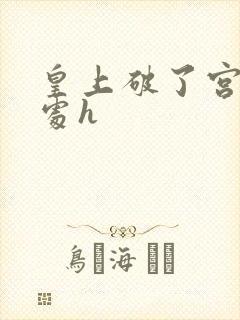 皇上破了宫女的处h封面