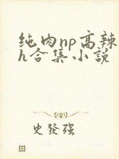 纯肉np高辣文h合集小说封面