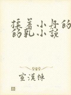 揉着小丹的饱满的乳小说封面