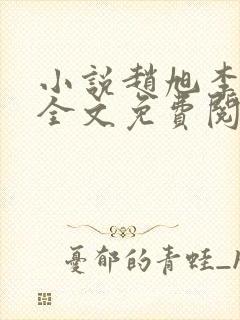 小说赵旭李晴晴全文免费阅读封面