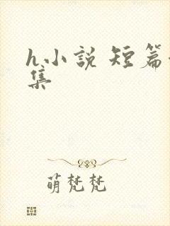 h小说 短篇合集封面