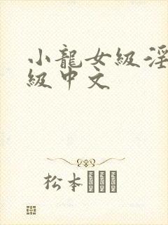 小龙女级淫片a级中文封面
