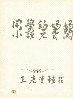 同学的妈妈张姨小说免费阅读全文封面