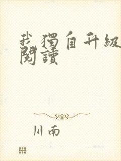 我独自升级免费阅读