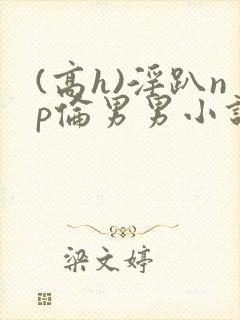 (高h)淫趴np伦男男小说封面
