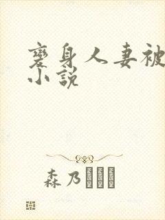 变身人妻被调教小说