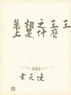 万相之王王境之上是什么