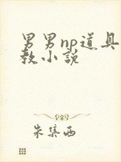 男男np道具调教小说