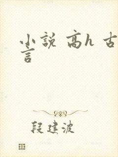 小说 高h 古言