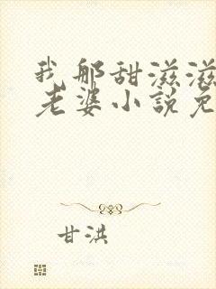 我那甜滋滋又多老婆小说免费阅读