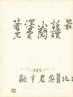 萧泽小说最新版免费阅读