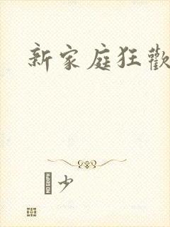 新家庭狂欢小说封面