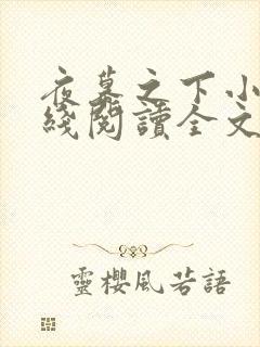 夜幕之下小说在线阅读全文封面
