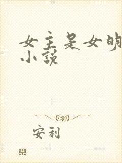 女主是女明星的小说封面