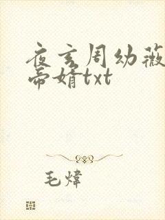 夜玄周幼薇万古帝婿txt