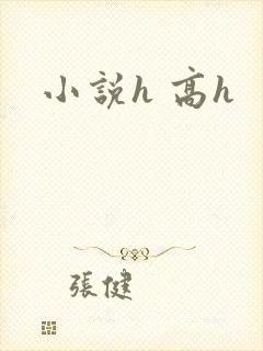 小说h 高h