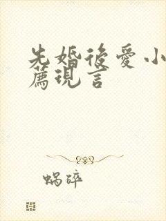 先婚后爱小说推荐现言