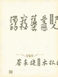 独宠旧爱·陆少的秘密恋人 小说