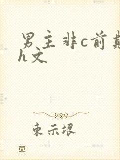 男主非c前期有h文封面