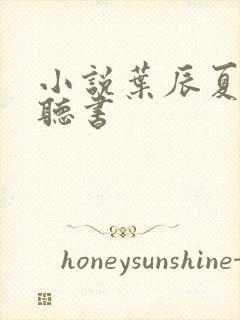 小说叶辰夏若雪听书封面