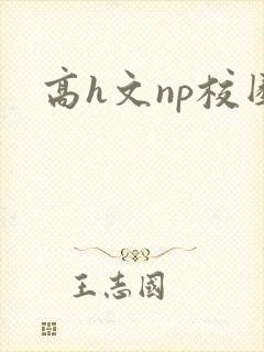 高h文np校园